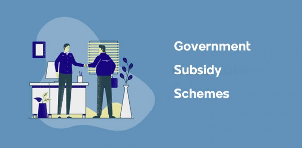 Government Subsidy Schemes in Madhya Pradesh
